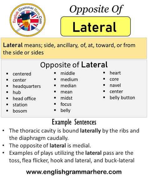 What Does Lateral Mean Art