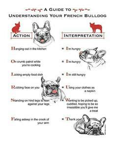 Growing puppy should have at least three measured meals a day. French Bulldog Puppy Growth Chart Collage. … | Frenchies ...