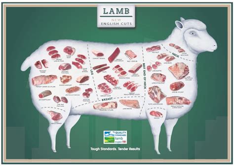 Beef is divided into large sections called primal cuts, which you can see in our beef cuts chart. Pin on Where's the Meat...