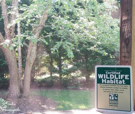 How To Designate Your Yard As Certified Wildlife Habitat