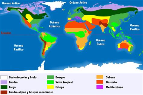 Qu Son Los Biomas Tipos Y Ejemplos