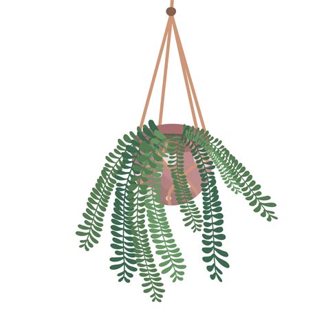 Free Hanging Plant Growing In Pots 17786286 Png With Transparent Background