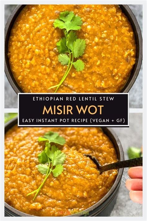 Misir Wot Ethiopian Red Lentils Recipe Healthy Instant Pot Recipes Ethiopian Food Lentil
