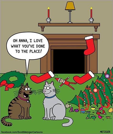 Christmas Humor Funny Christmas Pictures Cat Jokes Christmas Humor
