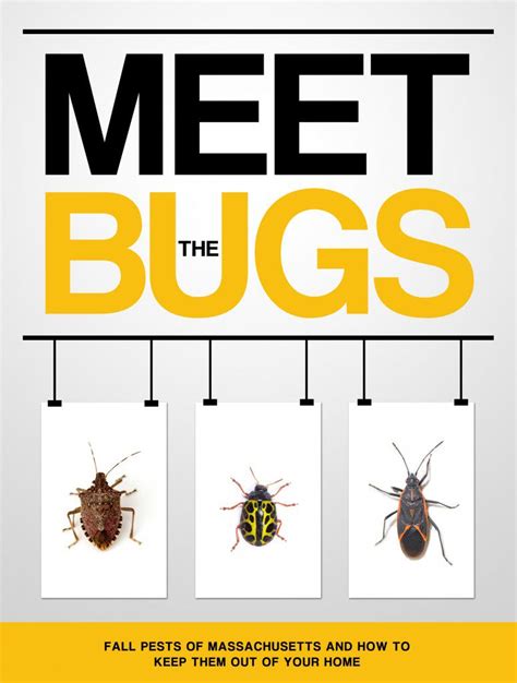 Meet The Bugs Colonial Pest Control