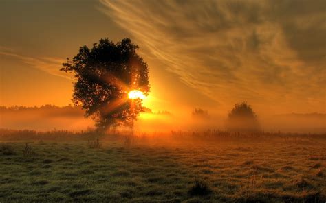 Foggy Sunrise 4k Wallpapers Hd Wallpapers Images