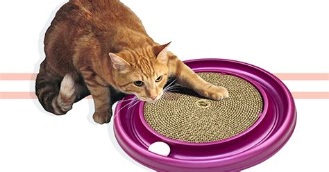 The 6 Best Toys For Large Cats