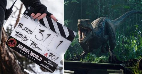 Мэйси, теа леони и др. Jurassic World 3 title has been revealed but what does it mean? | Metro News