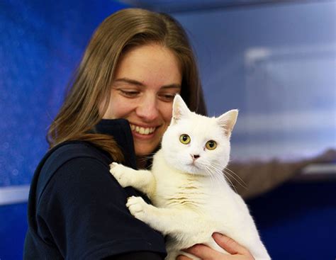 So you have decided to add a member to your family. The Home's Pop-up cat adoption event returns to Cranbourne ...