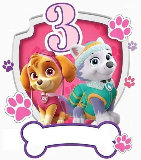 Paw Patrol Rd Birthday Card With Two Puppies And A Bone For The Third Year