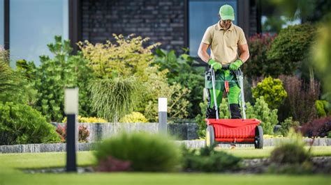How To Put Lime On Your Lawn And When To Do It Toms Guide