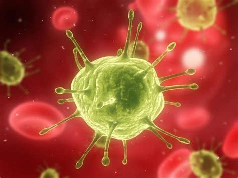 Only 1 Person Has Been Cured Of Hiv New Study Suggests Why