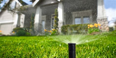 Irrigation Services Lawn Irrigation