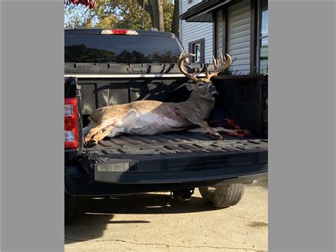 Poacher Attempted To Take Large Deer In Rossford Neighborhood The Blade