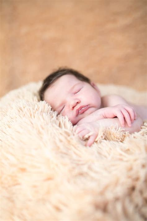 Newborn Sleeping On A Soft Blanket Gentle Sleeping Newborn Baby On A