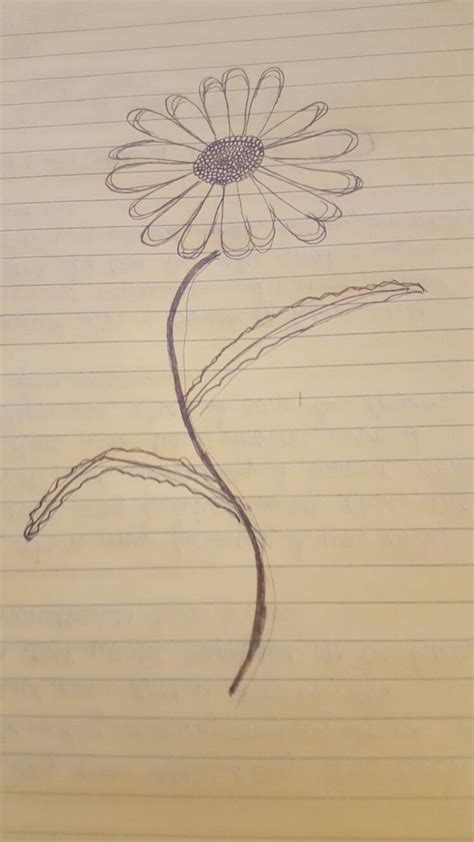 Pin By Annie Hank On Draw Drawn Drawing Drew Dandelion Drawings