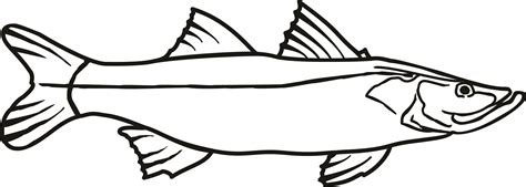 Snook Fish Coloring Pages