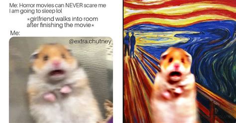 Scared Hamster Memes Thug Life Meme
