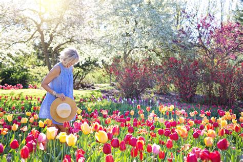 Dépendamment de la taille du jardin prévu et de son emplacement, vous devez tenir compte de plusieurs facteurs, comme le sol, l'éclairage et les plantes. Fleurs de printemps: comment créer un beau jardin ...