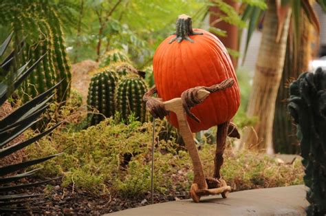 Ray Villafanes Enchanted Pumpkin Garden In Carefree Arizona Pee