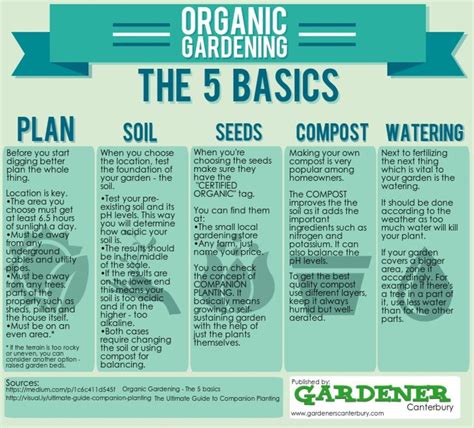 Organic Gardening The 5 Basics Gardening Infographic Organic Gardening