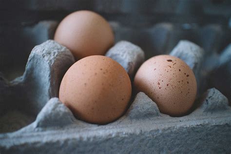 Organic Egg For Sale Organic Egg Farmers In Australia