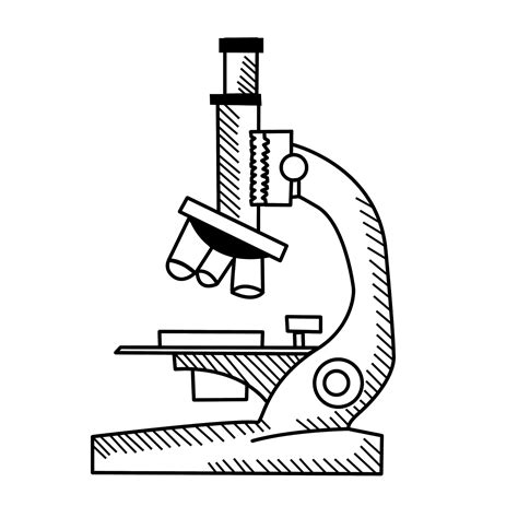 Colorear Dibujo De Microscopio Y Sus Partes Partes De Un Microscopio