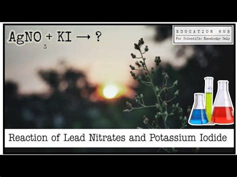 Reaction Between Lead Nitrate And Potassium Iodide Experiment Ft Nikopinion Nik Uh YouTube