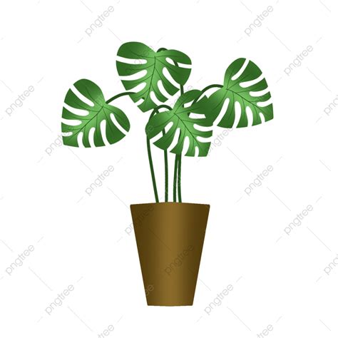 Tropic Leaves Png Transparent Tropical Leaves In Attractive Pots