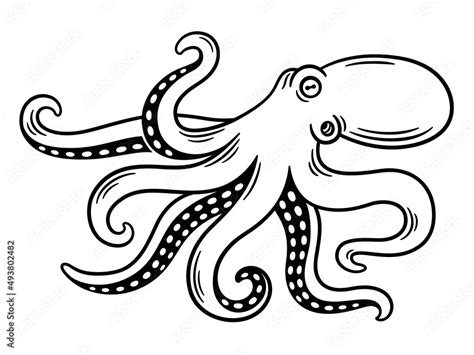 Octopus Vintage Illustration Stock Vector Adobe Stock