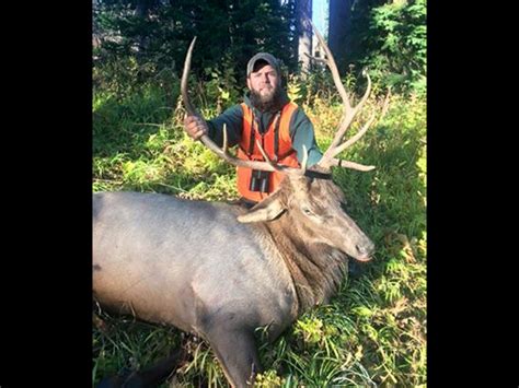 Montana Elk Hunting Outfitter Bob Marshall Wilderness Lincoln Mt