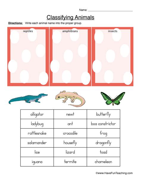 Animal Grouping Worksheet Preschool Printable Sheet