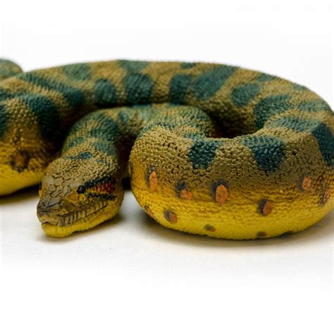 Green Anaconda Snake Toy Figure Safari Ltd
