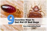 How To Get Rid Of Bed Bugs Step By Photos