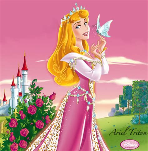 A Princess - Disney Princess Photo (30173312) - Fanpop
