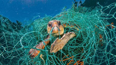 Ocean Waste Dumping The Worlds Biggest Landfill Alenka Mali