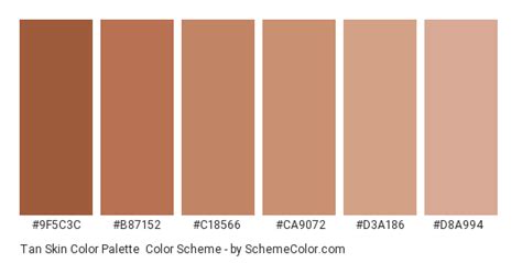Tan Skin Color Palette Color Scheme Brown