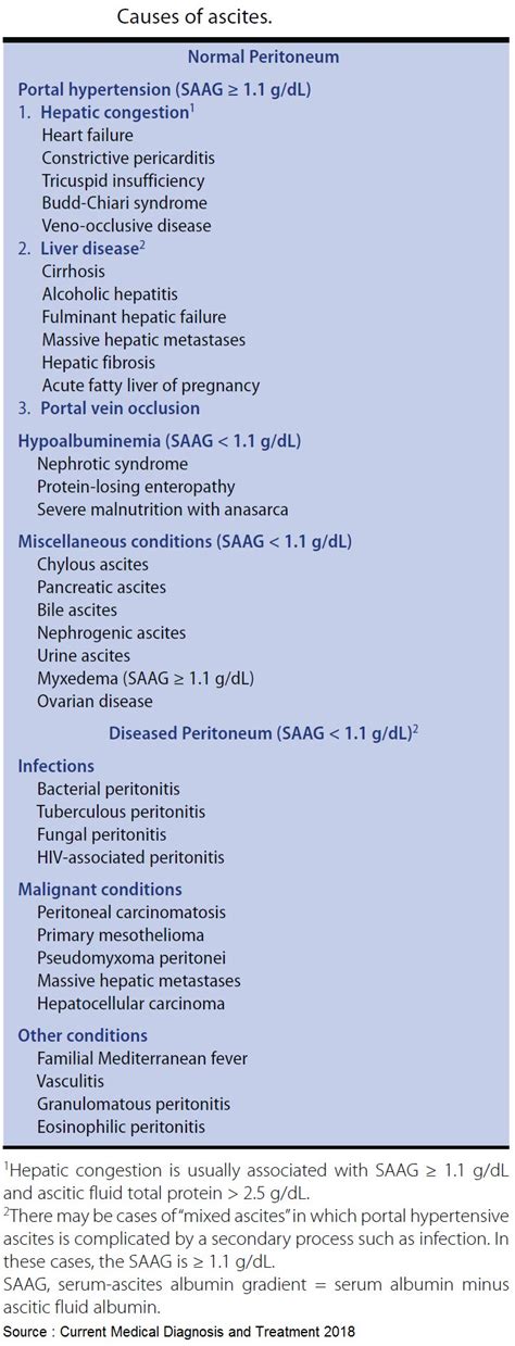 Causes Of Ascites Normal Peritoneum Portal Hypertension Grepmed