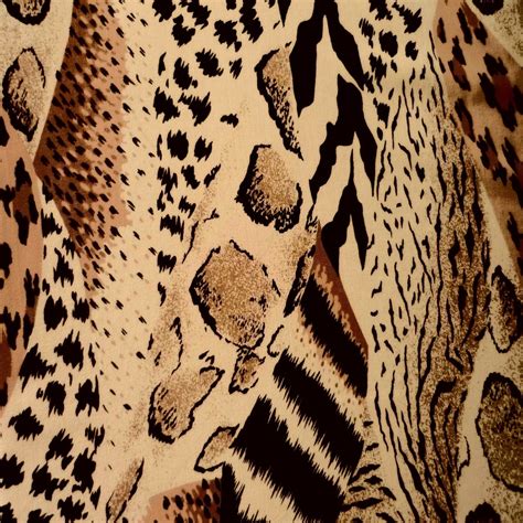 Free Images Nature Texture Wildlife Pattern Print Fauna Cheetah