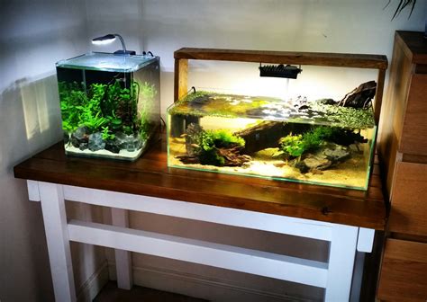How To Build Diy Rustic Style Fish Tank Stand Uk Aquatic Plant Society