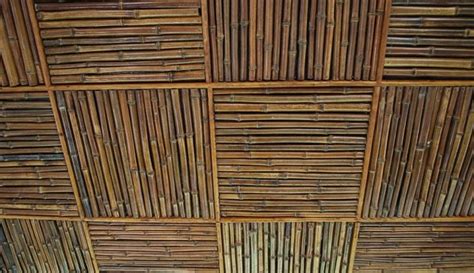 2005, jane hyun, breaking the bamboo ceiling, →isbn (2009 edition), introduction (google preview). bamboo ceiling - Google Search | Bamboo ceiling, Bamboo ...