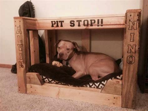 Pit Bulls And Itty Pitties Pitbull Dog Diy Dog Stuff Spoiled Dogs