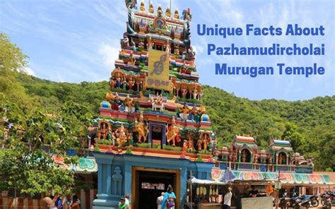 5 Unique Facts About The Pazhamudircholai Murugan Temple Astro Ulagam