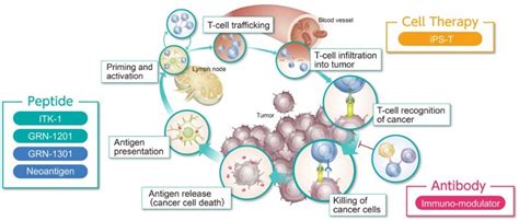 Personalizing Cancer Immunotherapy