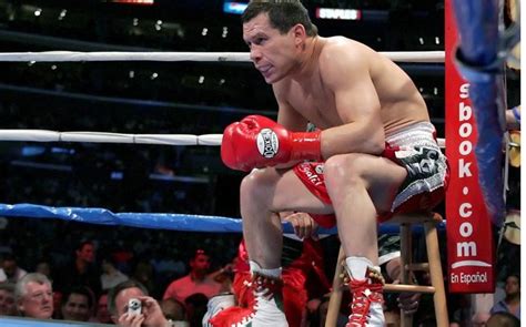 Julio Cesar Chavez Net Worth And Career Earnings How Much Has He Made