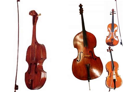 Música Maestro Instrumentos De Cuerda Y Clasificación