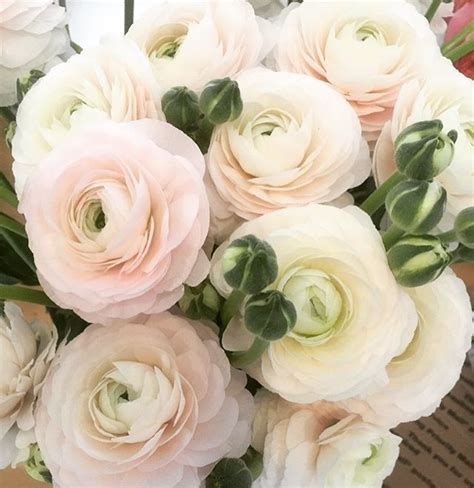 Flower Moxie Flower Moxie ~ Diy Wedding Flowers And Wholesale Flowers