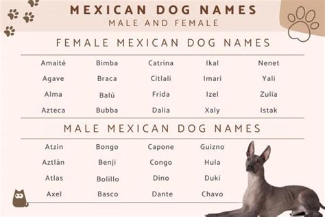 What Are The Most Common Dog Names In New York City Ciao Bella New