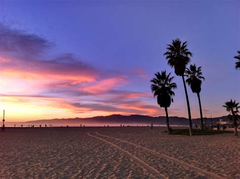 Venice Beach Post15546578766