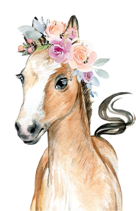 Watercolor Horse Babyanimals Farmanimals Fowl Pony Flow Baby